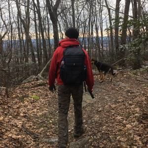 Meet your Posher, Collins